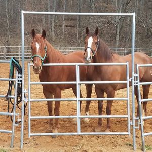 Meet your Posher, Kristin